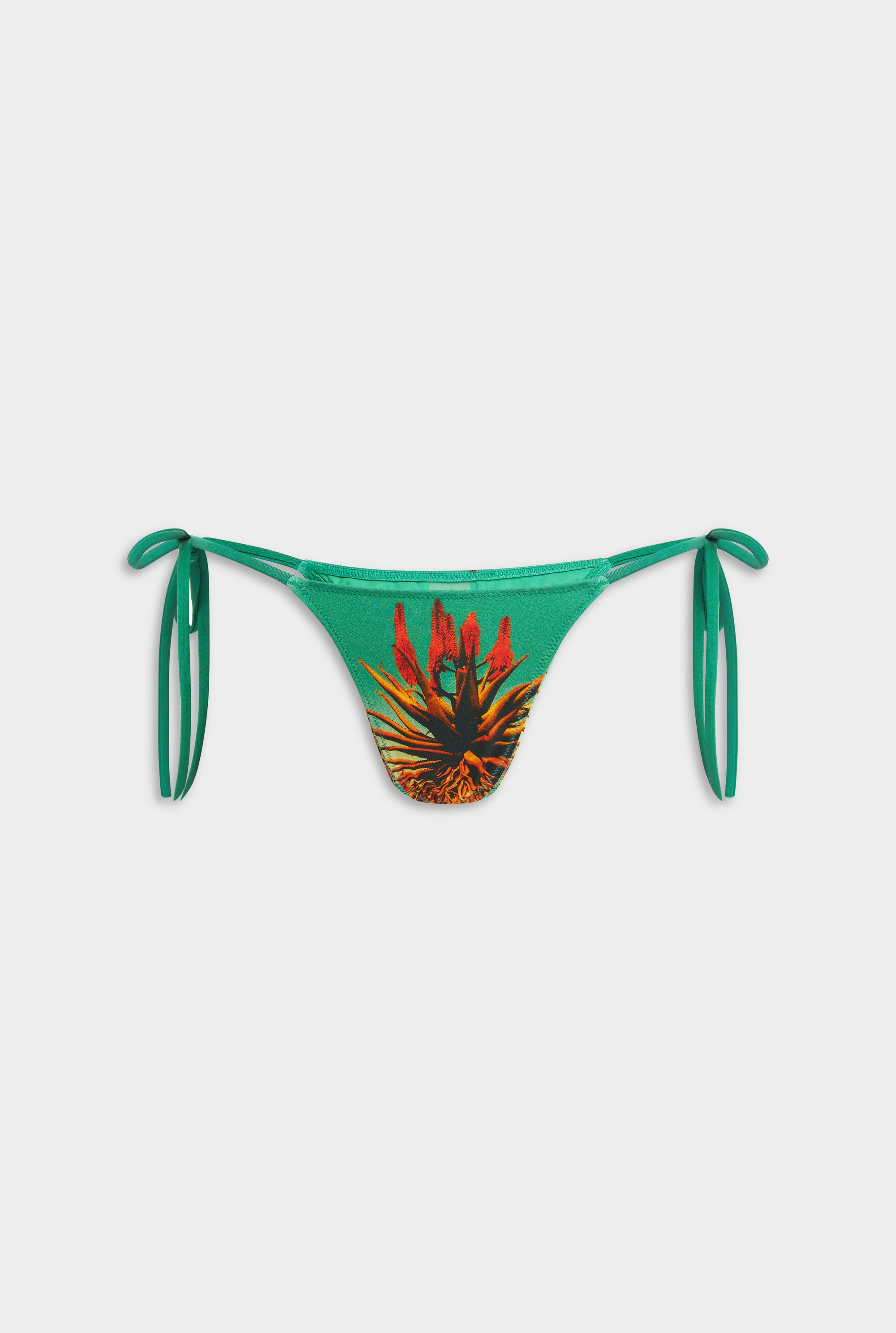 Tie Side Bikini Brief - Cactus Print