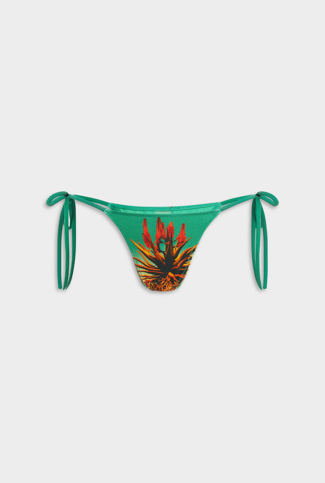 Tie Side Bikini Brief - Cactus Print